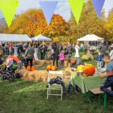 Auf einer Festwiese stehen weiße Pavillons, in der Mitte ist ein kreis aus Strohballen geformt. Es stehen Bierzelttische auf der Wiese, an denen Kinder Kürbisse schnitzen. Eltern und Erwachsene sind im Hintergrund in Gespräche vertieft.