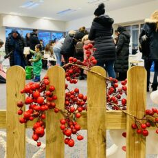 Über hölzernen Zaunelementen hängen rote Dekobeeren.
